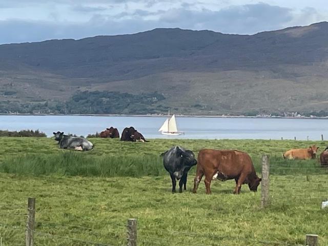 Plockton, Camus Fearn Barn 빌라 외부 사진